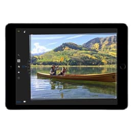 iPad Air (2014) 2e génération 16 Go - WiFi - Argent