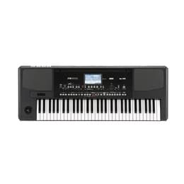 Instruments de musique Korg PA300