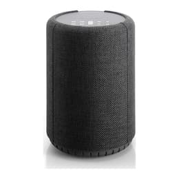 Enceinte Bluetooth Audio Pro A10 Gris sidéral