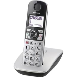 Téléphone fixe Panasonic KX-TGE510GS