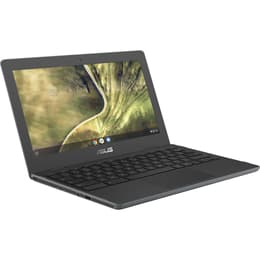 Asus ChromeBook C204MA-GJ0229 Celeron 1,1 GHz 32Go eMMC - 4Go QWERTY - Anglais (US)