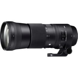 Objectif Canon EF 150-600mm f/5-6.3
