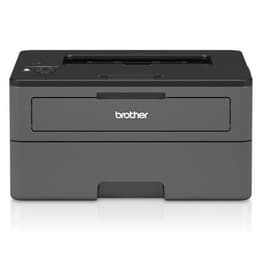 Brother HL-L2370DN Laser monochrome