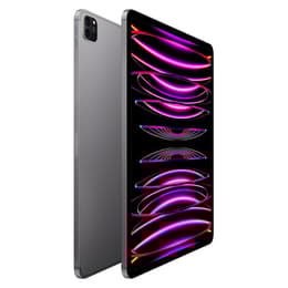 iPad Pro 12.9 (2022) 6e génération 256 Go - WiFi - Gris Sidéral