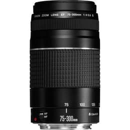 Objectif Canon Canon EF f/4-5.6