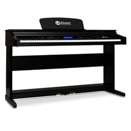 Instruments de musique Schubert PN2-Subi88P2-S