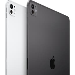 iPad Pro 13 M4 (2024) 7e génération 256 Go - WiFi + 5G - Noir Sidéral