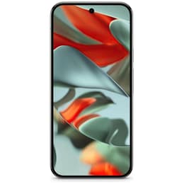 Google Pixel 9 Pro 1000 Go - Gris - Débloqué