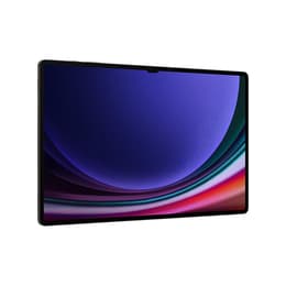 Galaxy Tab S9 256GB - Gris - WiFi