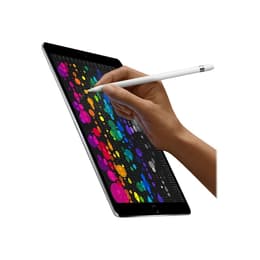 iPad Pro 10.5 (2017) 1e génération 64 Go - WiFi + 4G - Gris Sidéral