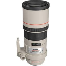 Objectif Canon EF 300mm f/4 EF 300mm f/4