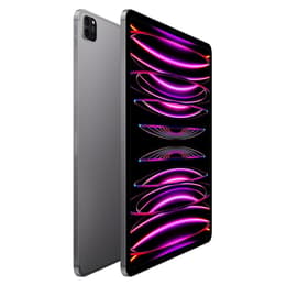 iPad Pro 12.9" (2022) 6e génération 2000 Go - WiFi + 5G - Gris Sidéral