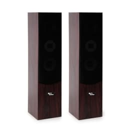 Enceintes sono Evidence Acoustics EA700-WAL