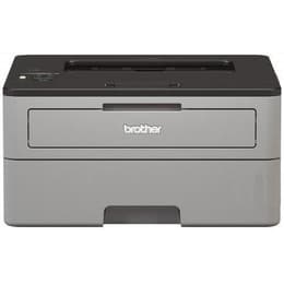 Brother HL-L2350DW Laser monochrome