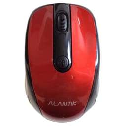 Souris Cortek MOST1B