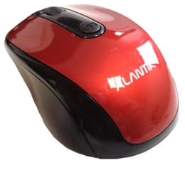Souris Cortek MOST1B