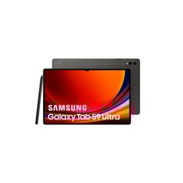 Galaxy Tab S9 Ultra 1000GB - Gris - WiFi
