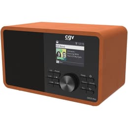 Radio Cgv DR25-REC alarm