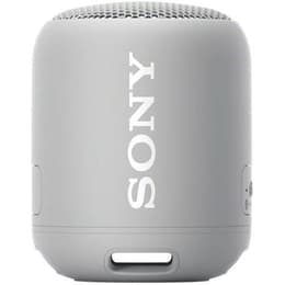 Enceinte Bluetooth Sony SRS-XB12 Gris
