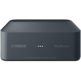 Accessoires audio Yamaha MusicCast WXAD-10