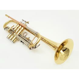 Instruments de musique Jhon Packer JB051