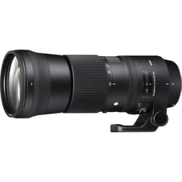 Objectif Sigma 150-600 mm F5-6.3 DG OS HSM Canon 150-600mm F/5-6.3