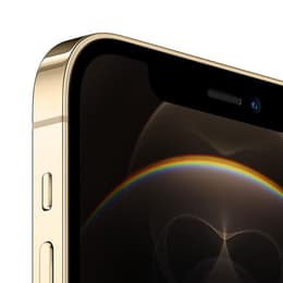 iPhone 12 Pro 256 Go - Or - Débloqué
