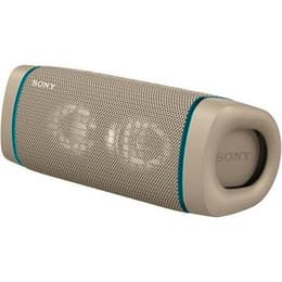 Enceinte Bluetooth Sony SRS-XB33 Gris