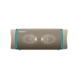 Enceinte Bluetooth Sony SRS-XB33 Gris