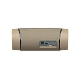 Enceinte Bluetooth Sony SRS-XB33 Gris