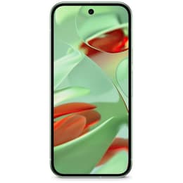 Google Pixel 9 256 Go - Vert - Débloqué