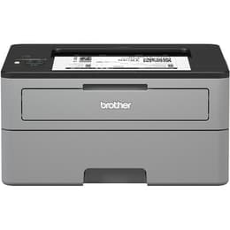 Brother HL-L2350DW Laser monochrome