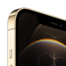 iPhone 12 Pro Max 256 Go - Or - Débloqué