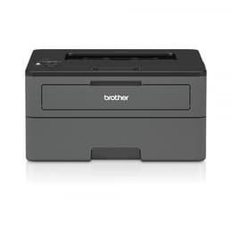 Brother HL-L2370DN Laser monochrome