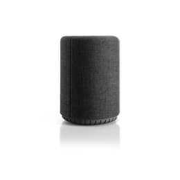 Enceinte Bluetooth Audio Pro A10 Gris sidéral