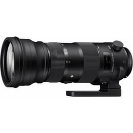 Objectif Sigma 150-600 mm F5-6.3 DG OS HSM S SPORTS CANON EF 150-600mm 5