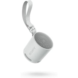 Enceinte Bluetooth Sony SRS-XB100 Gris