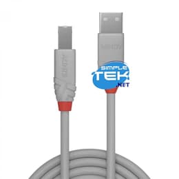 Câble Lindy USB Type A Male - Type B Male
