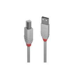Câble Lindy USB Type A Male - Type B Male