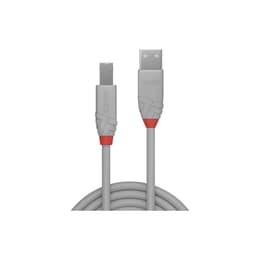Câble Lindy USB Type A Male - Type B Male