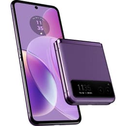 Motorola Razr 40 256 Go - Violet - Débloqué