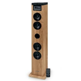 Enceinte Bluetooth Thomson DS122CD Brun/Noir