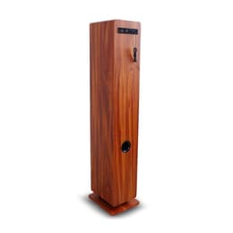 Enceinte Bluetooth Inovalley Woodtower Marron