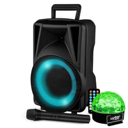 Enceintes sono Festisound Karaoké avec USB SD Bluetooth TWS - Micro sans fil