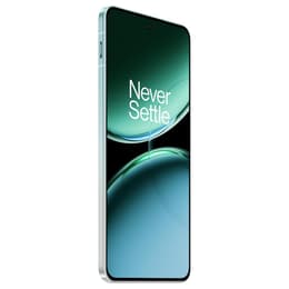 OnePlus Nord 4 256 Go - Vert - Débloqué
