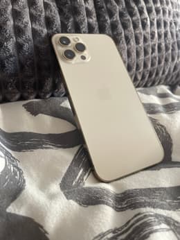 iPhone 16 Pro Max 256 Go or reconditionné