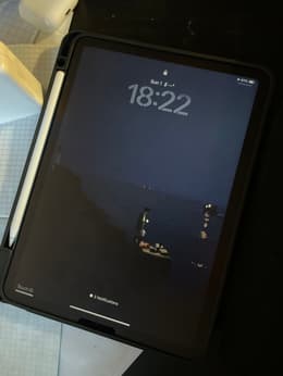 Apple IPad Air 10.9" 2022 Wi-Fi 256 Go - Rose - Sous Garantie - Occasion