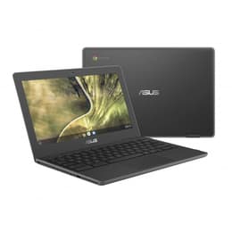 Asus ChromeBook C204 Touch 11.6" Celeron 1,1 GHz 32Go SSD - 4Go