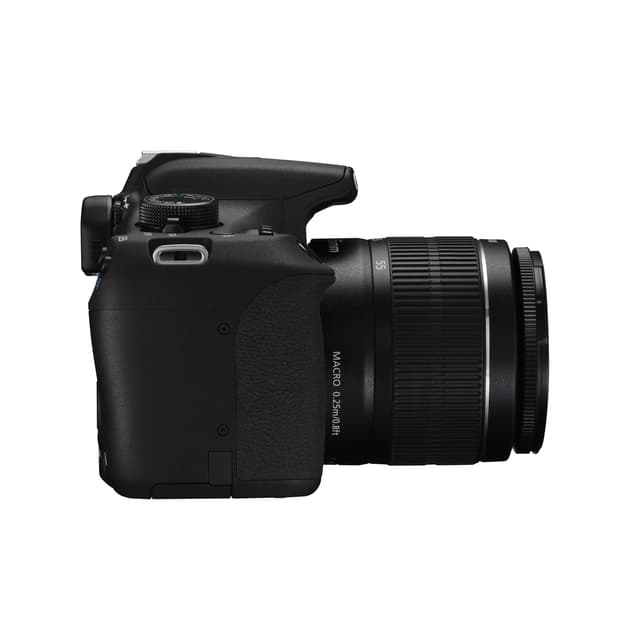 Reflex - Canon EOS 1200D Noir Canon Canon Zoom Lens EF-S 18-55mm f/3.5-5.6 III